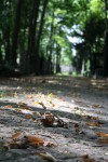 IMG_3901