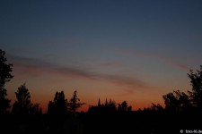 IMG_4120