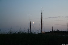 IMG_7438