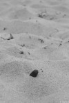 IMG_7506