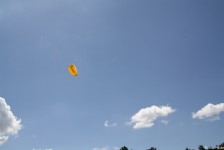 IMG_7557