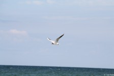 IMG_7571
